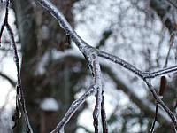 DSCF0483