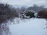 DSCF0487