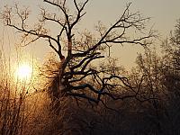 Am nächten Morgen wolkenlos bei -15°C