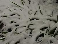 Schnee in Muri am 17.4.05